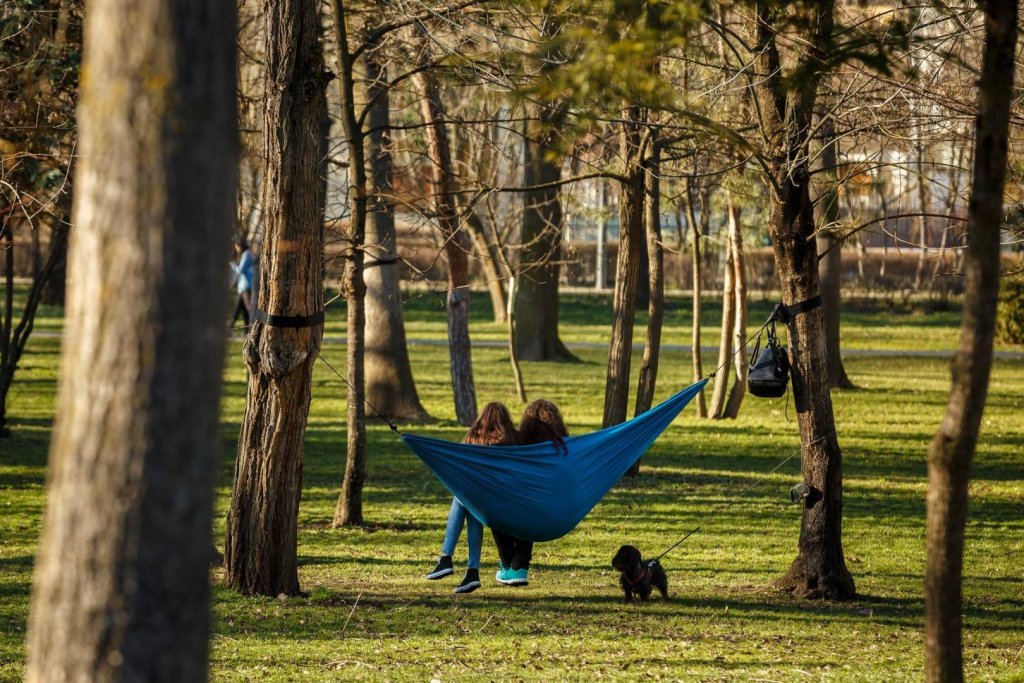 Parc de peste 2 hectare în zona metropolitană a Clujului