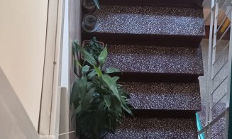 Ghivece cu flori de pe casa scărilor sunt INTERZISE. Blochează evacuarea și intervenția în caz de incendiu