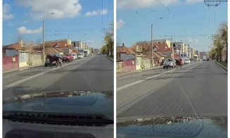 După vacă, vine calul. Clujul de 5 stele are din nou animale pe Bulevardul Muncii