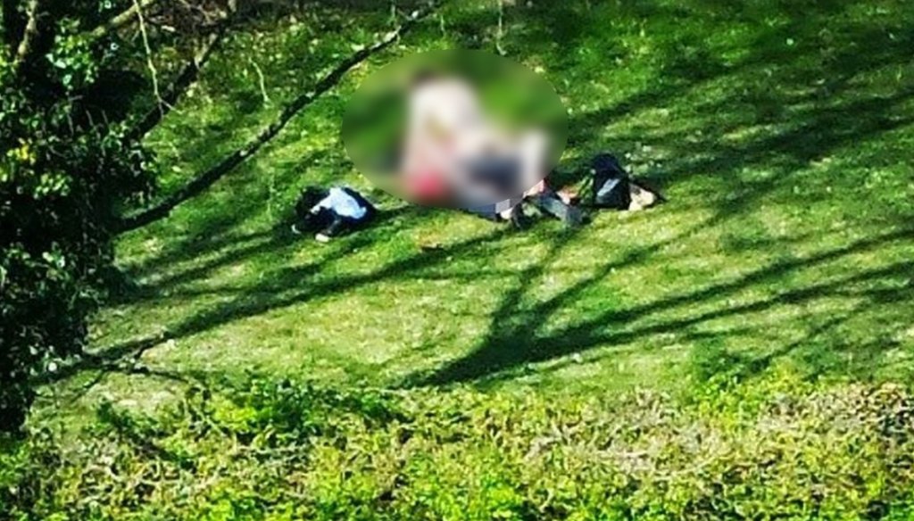 Cluj: Scene indecente într-un parc. Un bărbat de 26 de ani și o adolescentă, surprinși în timp ce se „iubeau” / Dosarul merge în judecată