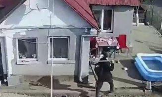 4 luni când Emil Gânj A UCIS-O cu toporul pe fata de 23 de ani din Mureș / Criminalul din Mureş a contestat arestul preventiv