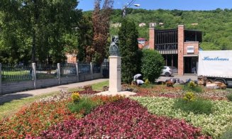 Afaceri de 36 mil. lei în 2024 pentru firma care întreține spațiile verzi din Cluj și a amenajat grădina familiei regale