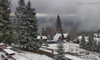 A nins pe Vlădeasa! Zăpada așternută în ultimele ore a creat un peisaj de iarnă autentic pe munte