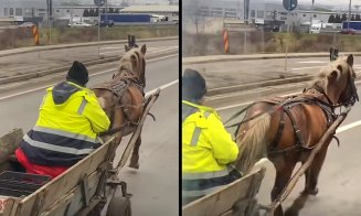 CJ SPY lu' 7 cai :))