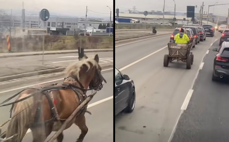 CJ SPY lu' 7 cai :))