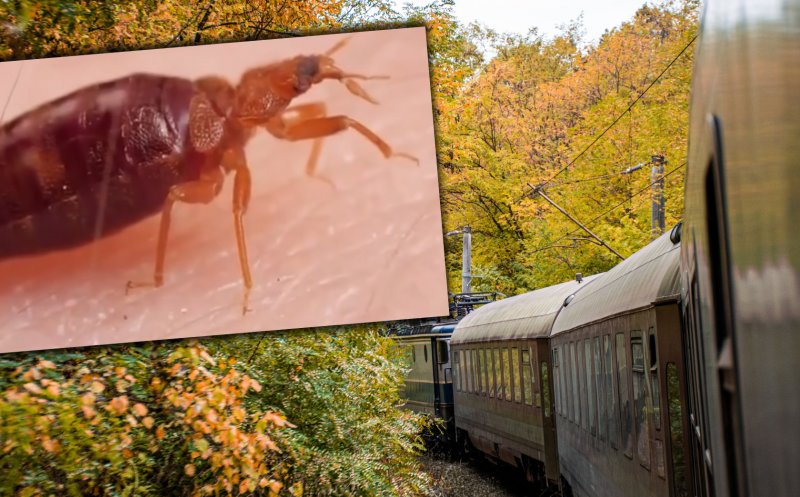 Ciuruită de ploșnițe la cușeta CFR Călători / 13 ore în ”trenul groazei ”, la 190 de lei