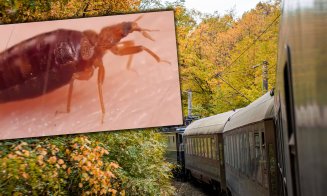 Ciuruită de ploșnițe la cușeta CFR Călători / 13 ore în ”trenul groazei ”, la 190 de lei