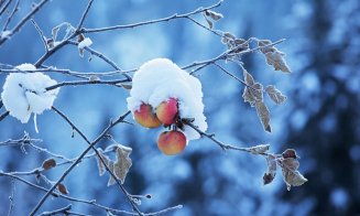 Temperaturi peste cele specifice, până aproape de sfârşitul anului, inclusiv de Crăciun