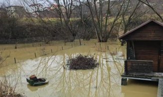 O familie de castori terorizează cetățenii de pe o stradă din Cluj-Napoca. Le-au inundat curțile, după ce au ridicat baraje pe un curs de apă