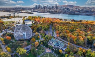 Top 3 orașe de vizitat în Canada: Toronto, Vancouver, Montreal 