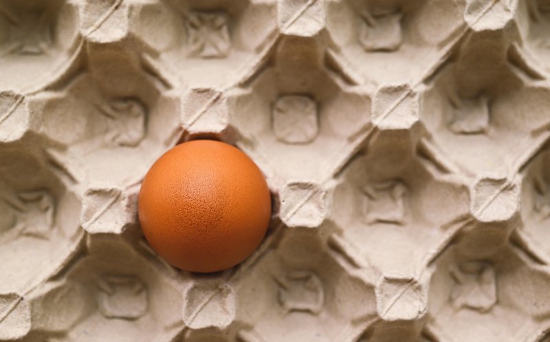 „Ce e în neregulă cu țara asta? Cum a ajuns un cofraj de ouă la 35 de lei?”. Românii, îngroziți de prețurile din supermarket