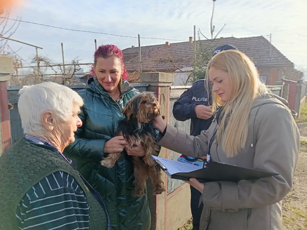 O nouă acțiune pentru gestionarea câinilor din județul Cluj