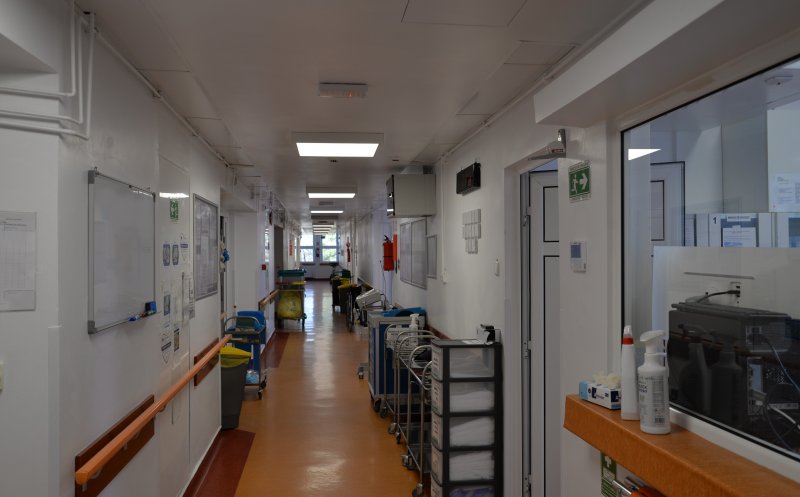 LEPRĂ la Cluj: Cum s-au îmbolnăvit, de fapt, cele două tinere și de ce nu au fost izolate în spital încă din noiembrie