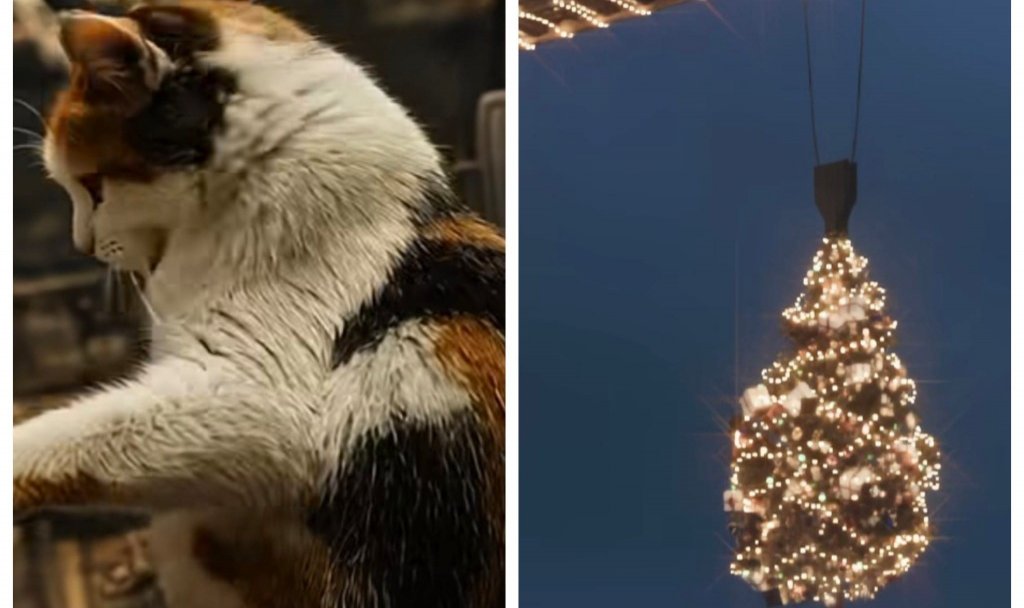 Atmosferă de sărbătoare pe șantierul RIVUS. Lucrările continuă, iar pisicuța Cătălina aduce spiritul Crăciunului și ridică moralul muncitorilor