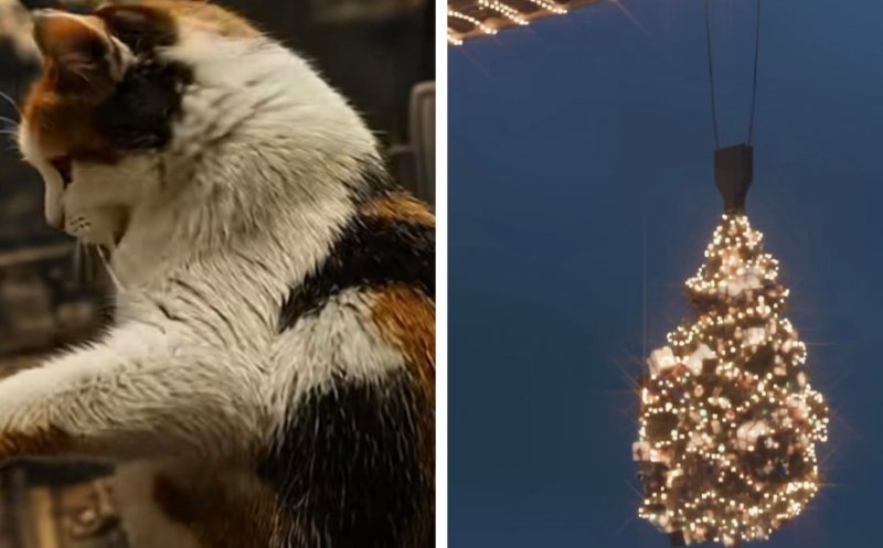 Atmosferă de sărbătoare pe șantierul RIVUS. Lucrările continuă, iar pisicuța Cătălina aduce spiritul Crăciunului și ridică moralul muncitorilor