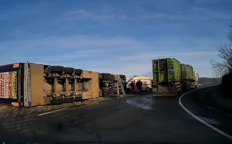 Un TIR cu aproximativ 200 de porci vii s-a răsturnat pe un drum din Cluj. Pompierii au intervenit de urgență