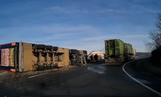 Un TIR cu aproximativ 200 de porci vii s-a răsturnat pe un drum din Cluj. Pompierii au intervenit de urgență