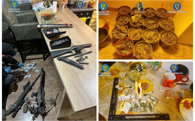 Polițiștii din Cluj au ajutat la destructurarea unei rețele de trafic de droguri din Maramureș. Ce au descoperit