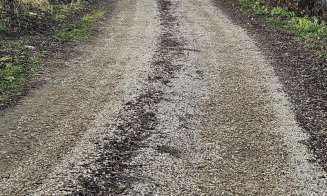 Mai multe drumuri dintr-o comună clujeană, puse la punct de CJ Cluj. Au fost distruse de ploi