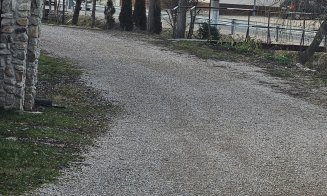 Mai multe drumuri dintr-o comună clujeană, puse la punct de CJ Cluj. Au fost distruse de ploi