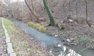 ”Cineva s-o fi gândit că Ajunul Crăciunului e cea mai potrivită ocazie de a polua Canalul Morii” / Sesizare pe MyCluj