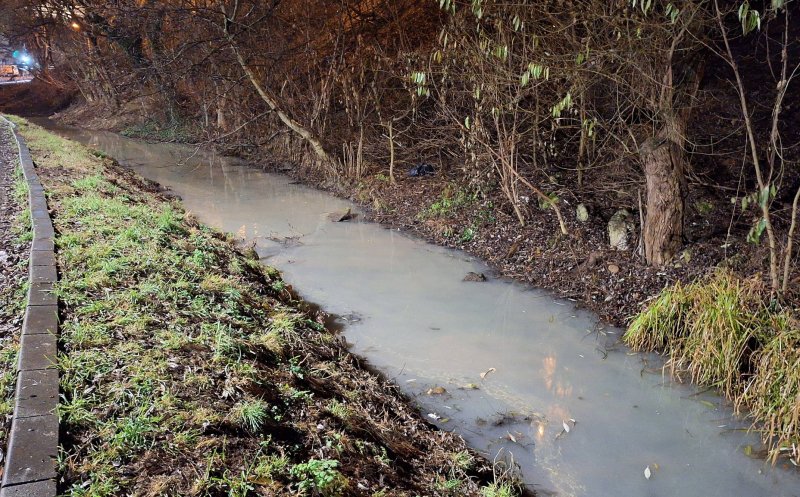 ”Cineva s-o fi gândit că Ajunul Crăciunului e cea mai potrivită ocazie de a polua Canalul Morii” / Sesizare pe MyCluj