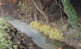 ”Cineva s-o fi gândit că Ajunul Crăciunului e cea mai potrivită ocazie de a polua Canalul Morii” / Sesizare pe MyCluj