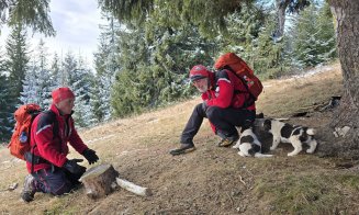 Doi cățeluși abandonați pe un traseu din Vlădeasa, recuperați de salvamontiștii clujeni. Apel către comunitățile din zonă