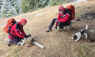 Doi cățeluși abandonați pe un traseu din Vlădeasa, recuperați de salvamontiștii clujeni. Apel către comunitățile din zonă