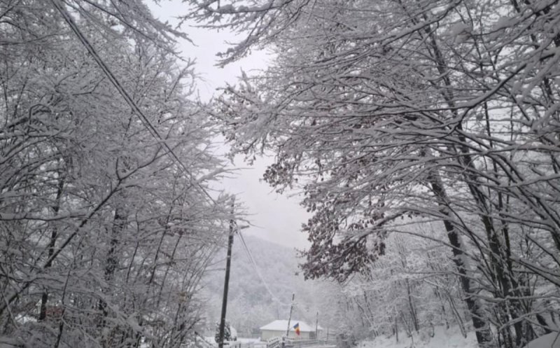 Nu există drumuri blocate traficului rutier. Tișe: ''Situația este foarte dinamică, aceasta schimbându-se de la o oră la alta''