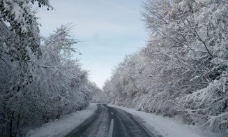 Clujul ca Narnia: Orașul și muntele sub un covor de zăpadă magic. „Cea mai frumoasă iarnă probabil din viața multora”