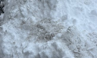 Un deputat clujean critică deszăpezirea din oraș: „După declarații, zăpada a fost strânsă. După poze, se vede clar cât”