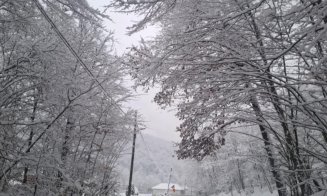 Cum se circulă pe drumurile județene din Cluj. Numărul unde se pot face sesizări