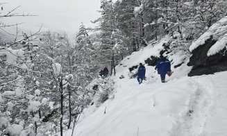 Criza energetică din Munții Apuseni, soluționată: DEER a refăcut rețeaua afectată de ninsori și viscol