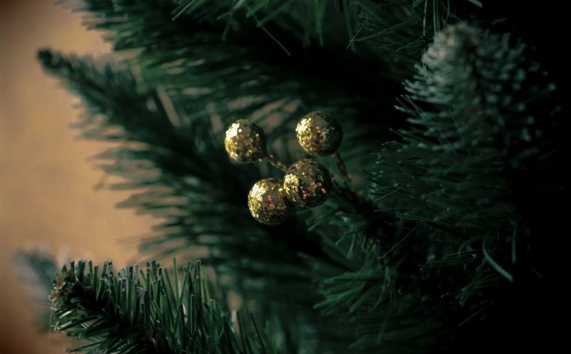 Turda: Unde și când se colectează GRATUIT brazii de Crăciun. Programul complet