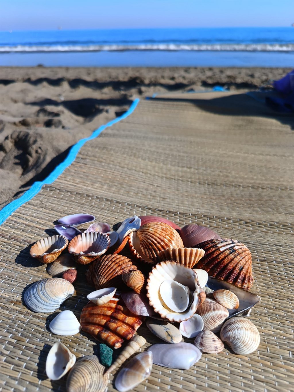 Mai multe țări europene au introdus amenzi usturătoare pentru turiști