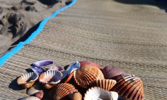 Mai multe țări europene au introdus amenzi usturătoare pentru turiști