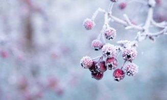 Prognoza meteo până la jumătatea lui februarie. Când scăpăm de frigul extrem