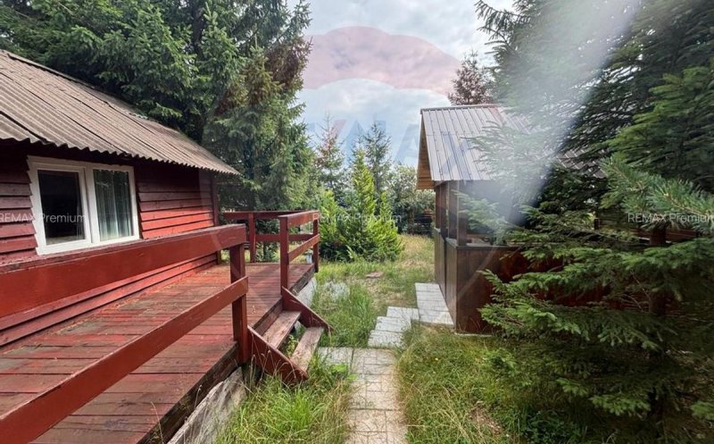 Piața imobiliară din Cluj. Cât costă o cabană lângă pârtia de la Mărișel?