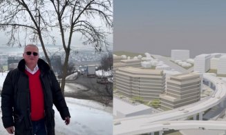 Remus Lăpușan: "Pasajul de la Tăietura Turcului bate pasul pe loc"