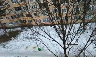 Decât nimic, mere și așa: Pauză - pauză - lopată - pauză. Se sparge ”patinoarul” de pe Padin?