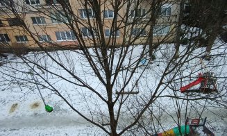 Decât nimic, mere și așa: Pauză - pauză - lopată - pauză. Se sparge ”patinoarul” de pe Padin?