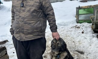 Suflete nevinovate salvate din ger și lanțuri: șase animale au fost salvate datorită comunității și Poliției Beliș, Cluj