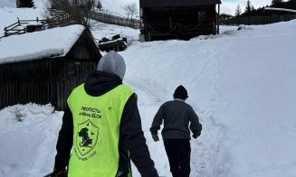 Suflete nevinovate salvate din ger și lanțuri: șase animale au fost salvate datorită comunității și Poliției Beliș, Cluj