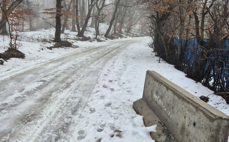 Se cere repunerea barierelor din prelungirea străzii Uliului, dar și un plan concret pentru protejarea pădurii Hoia