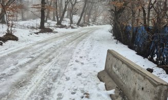Se cere repunerea barierelor din prelungirea străzii Uliului, dar și un plan concret pentru protejarea pădurii Hoia