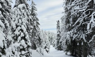 Imagini care îți taie respirația: Zona de munte a Clujului iarna. Peisaje de poveste