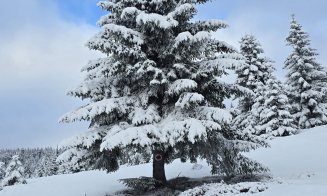 Imagini care îți taie respirația: Zona de munte a Clujului iarna. Peisaje de poveste