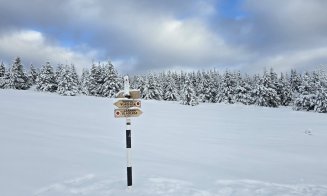 Imagini care îți taie respirația: Zona de munte a Clujului iarna. Peisaje de poveste