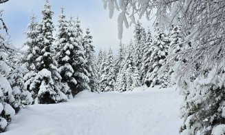 Imagini care îți taie respirația: Zona de munte a Clujului iarna. Peisaje de poveste